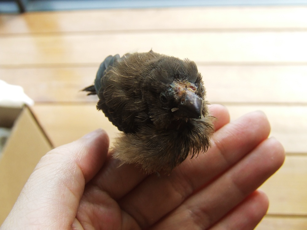DSCF4291.jpg