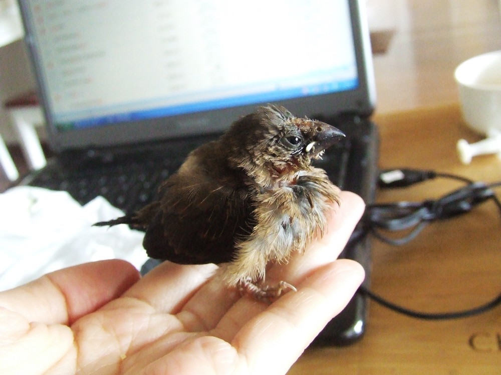 DSCF4278.jpg
