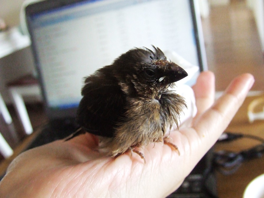 DSCF4271.jpg