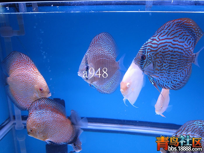025 拷貝.jpg