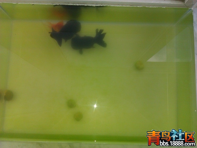 IMAG0062 - 副本.jpg