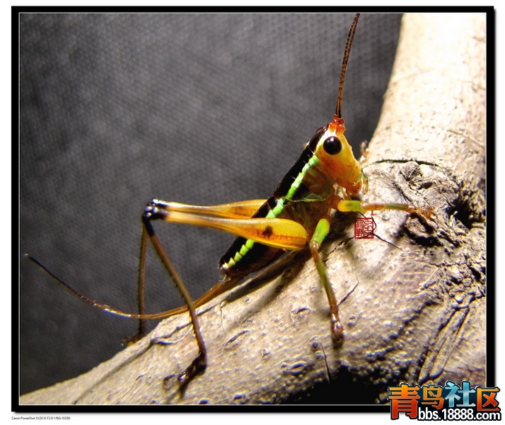 IMG_1962_调整大小.jpg