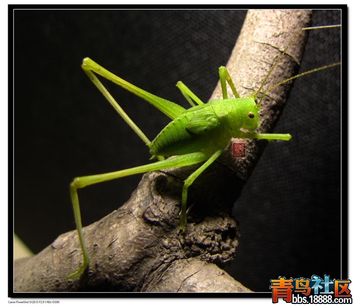 IMG_1966_调整大小.jpg