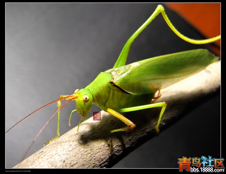 IMG_2016_调整大小.jpg