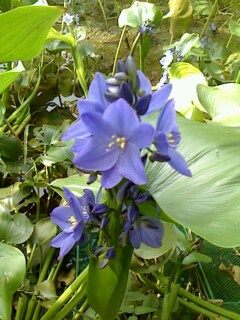 IMG0907153201.jpg