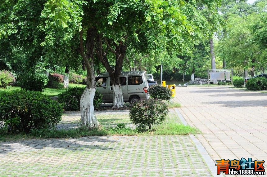 DSC_0138.JPG