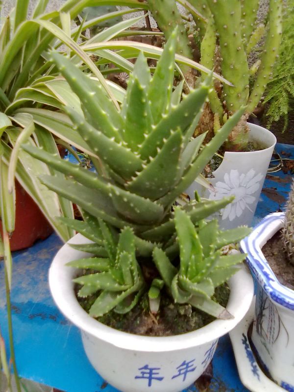 20120909956.jpg