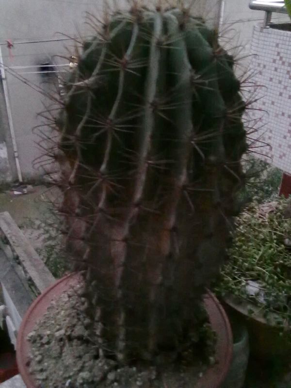 201209251022.jpg