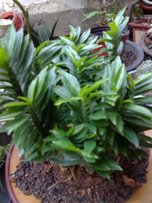 20120828911.jpg