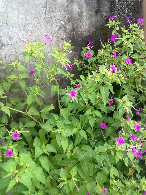 20120901945.jpg