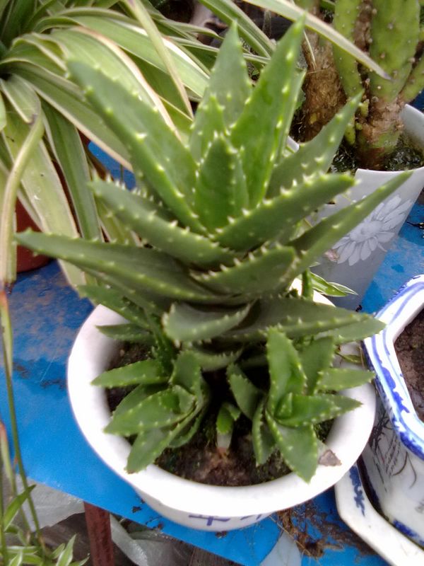 20120909957.jpg