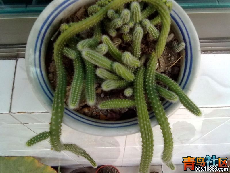 20120828894.jpg