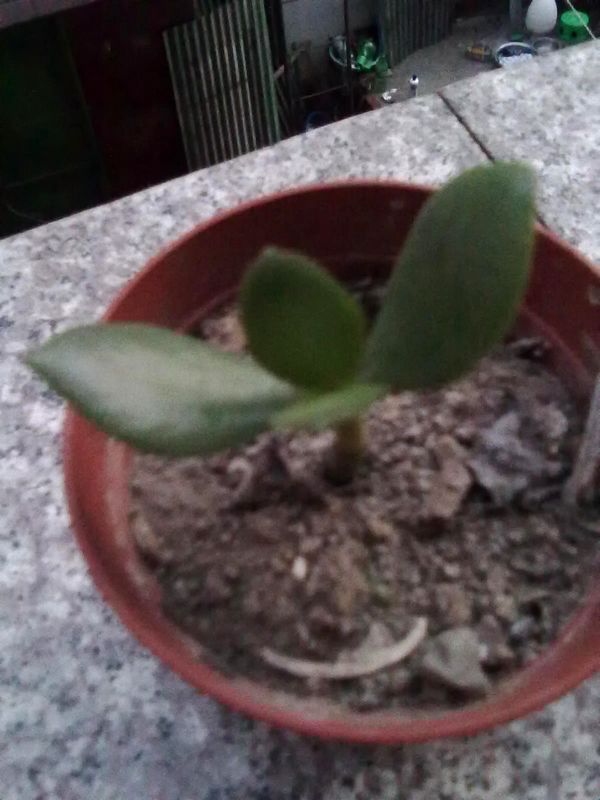 201209251037.jpg