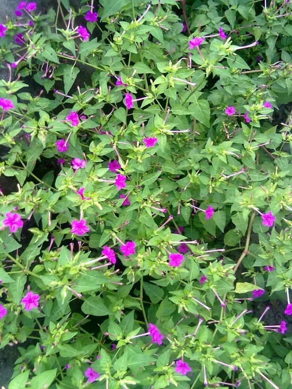 20120901944.jpg