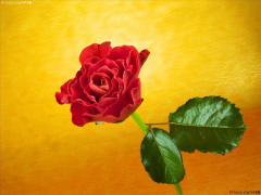 af58a3010becaeae1f95832a.jpg