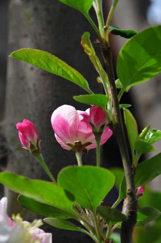 DSC_2300.JPG