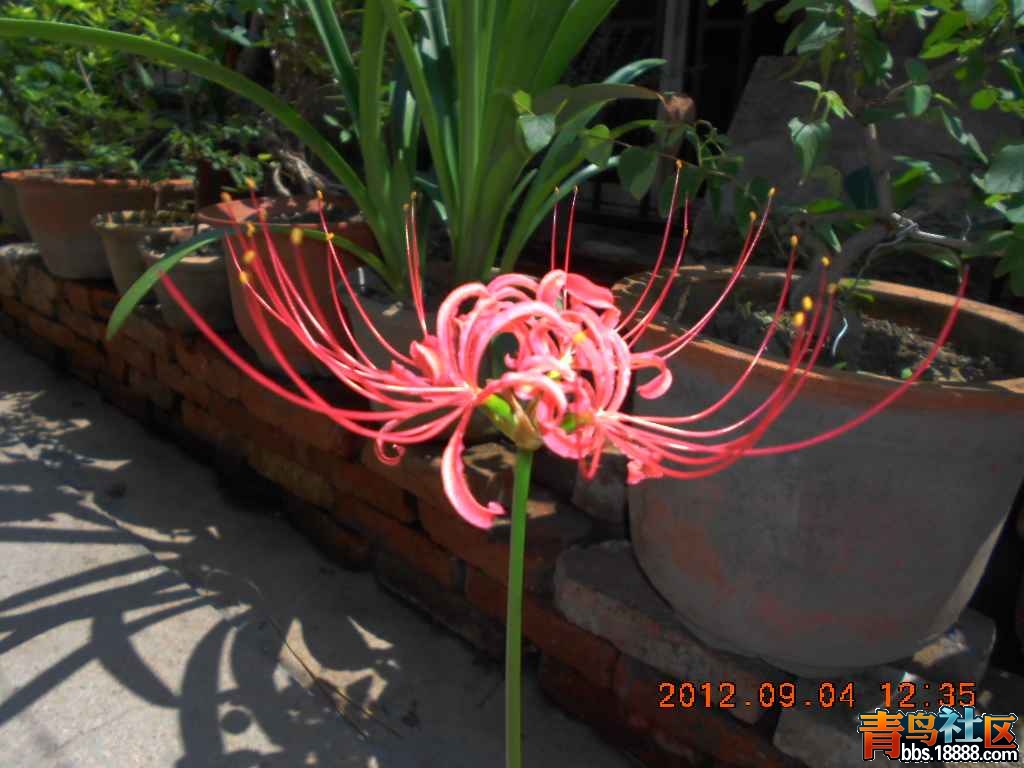 DSCN0273.jpg