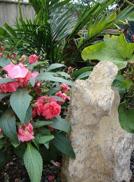 100_65736_8200768a3ccfeb6.jpg