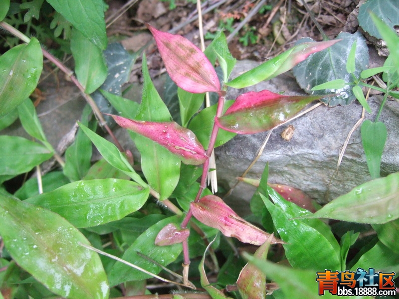 DSCF0021_调整大小.JPG