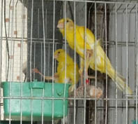 DSCF2091.JPG