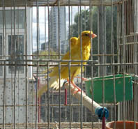 DSCF2080.JPG