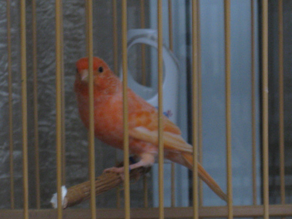 IMG_2264_副本.jpg