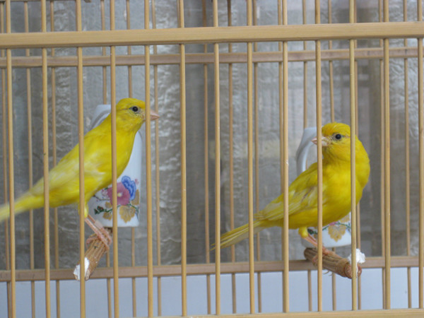 IMG_2147_副本.jpg