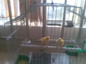 20120830(005).jpg