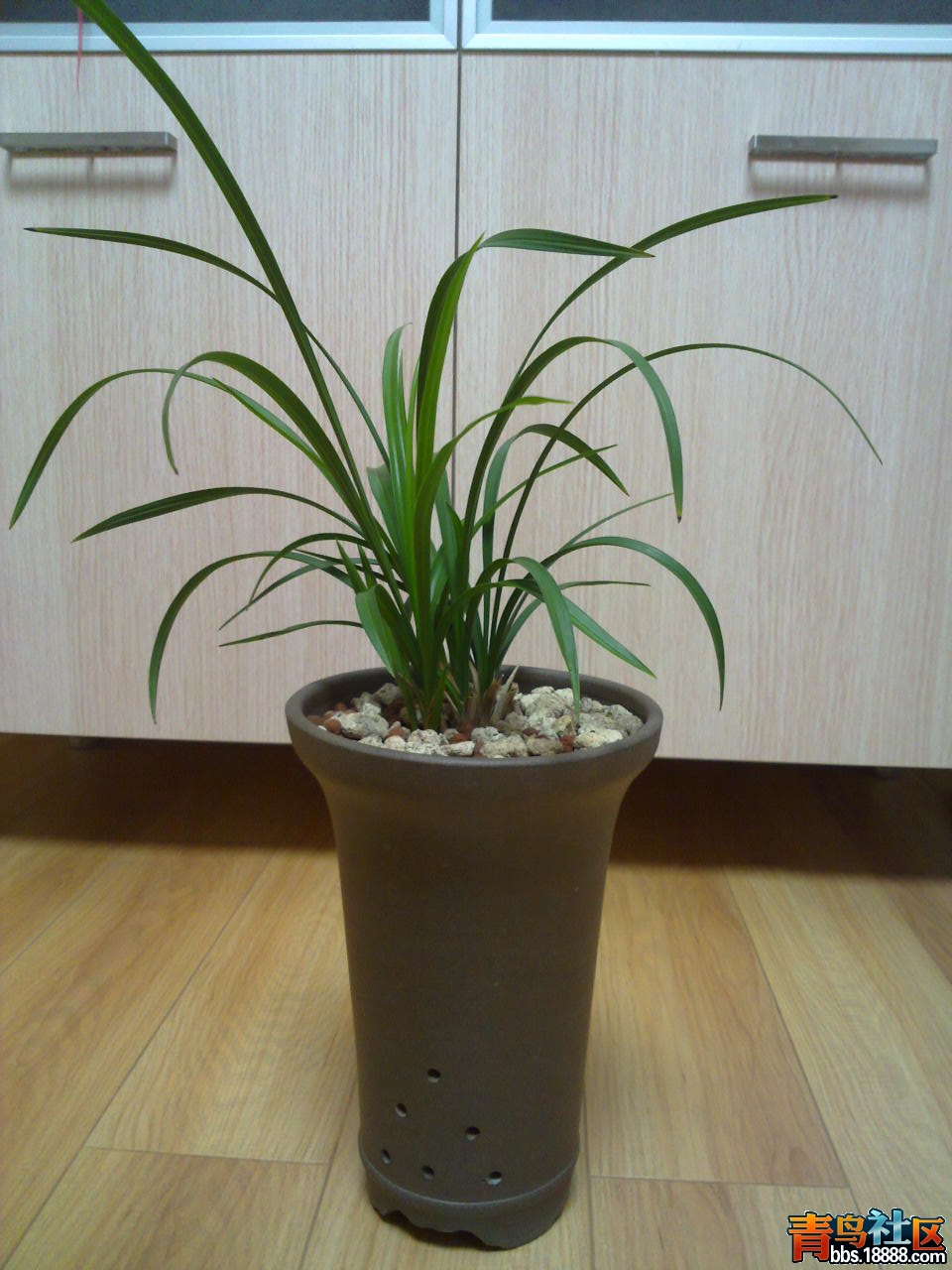 20120925314.jpg