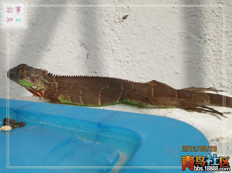 nEO_IMG_照片 367.jpg