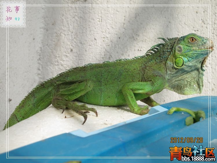 nEO_IMG_照片 368.jpg