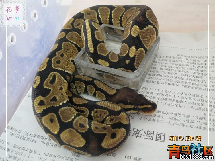 nEO_IMG_照片 326.jpg