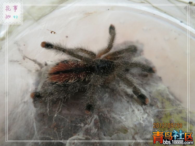 nEO_IMG_照片 355.jpg