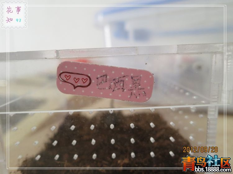 nEO_IMG_照片 362.jpg