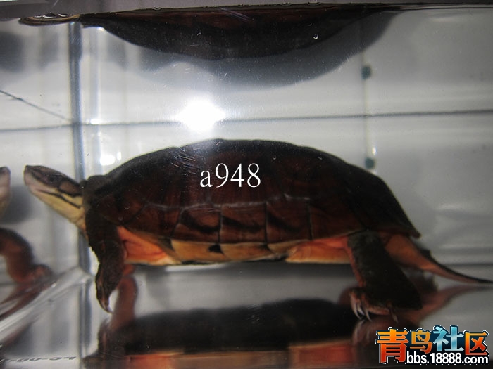 001 拷貝.jpg