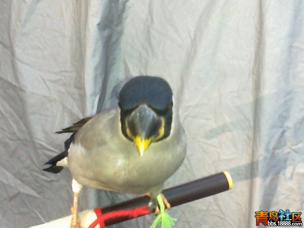 20120917269.jpg