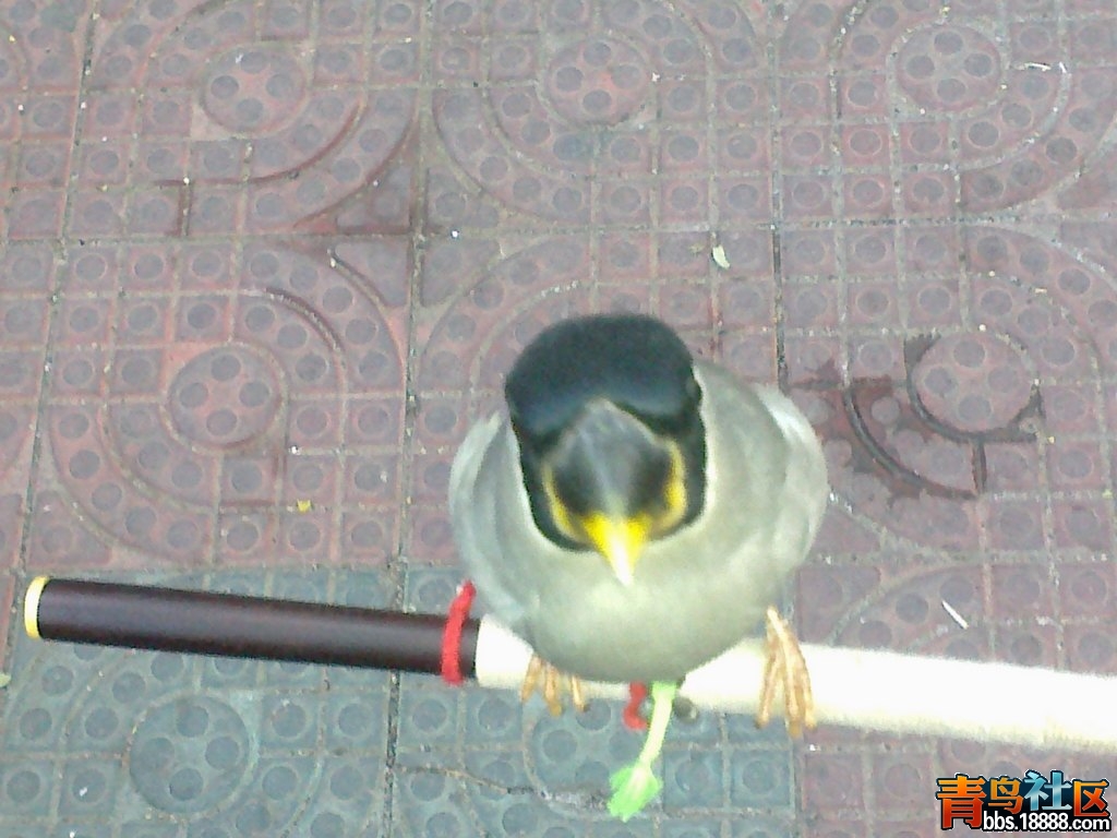 20120917279.jpg