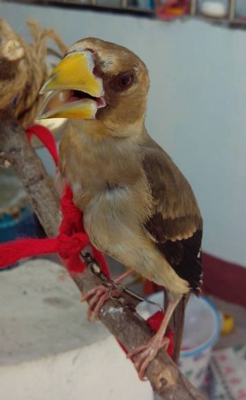 2012-09-03_13-40-12_725225.jpg