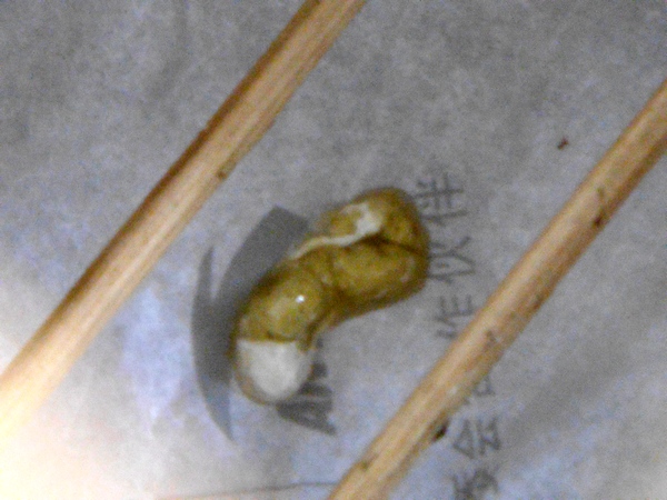DSC01628.JPG