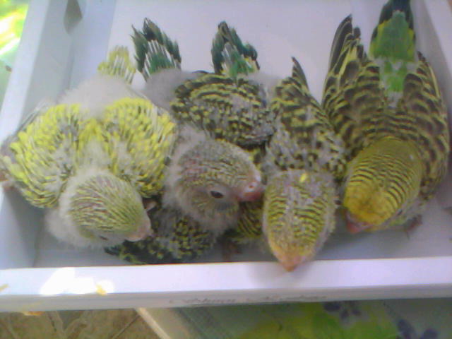 20120916A002.jpg