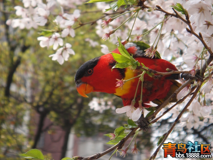 DSC01914.jpg