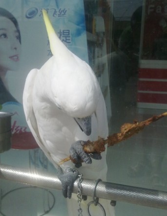 未命名一人.jpg