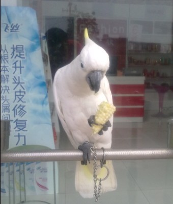 未命名额.jpg