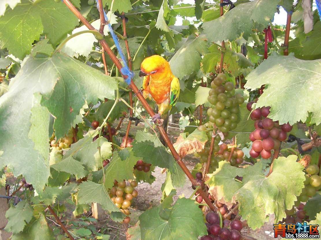SANY0123.JPG