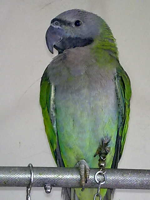 20111108113.jpg