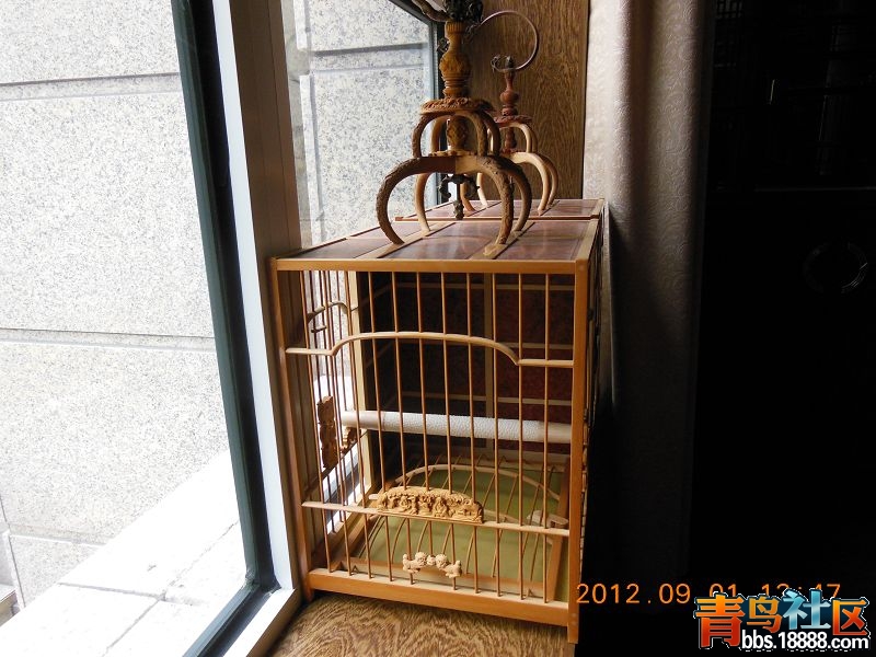 DSCN0178.jpg
