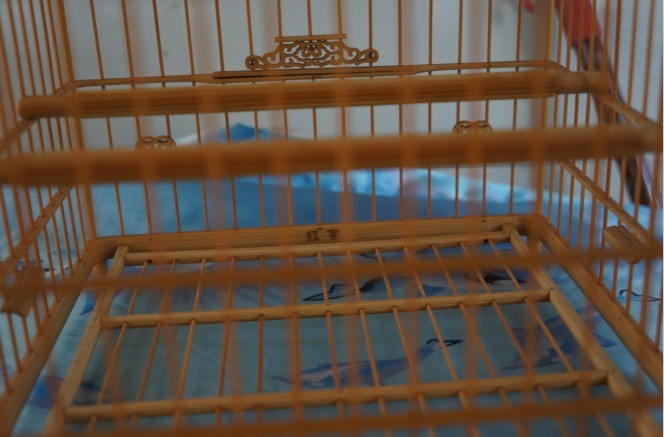 红宇９.jpg