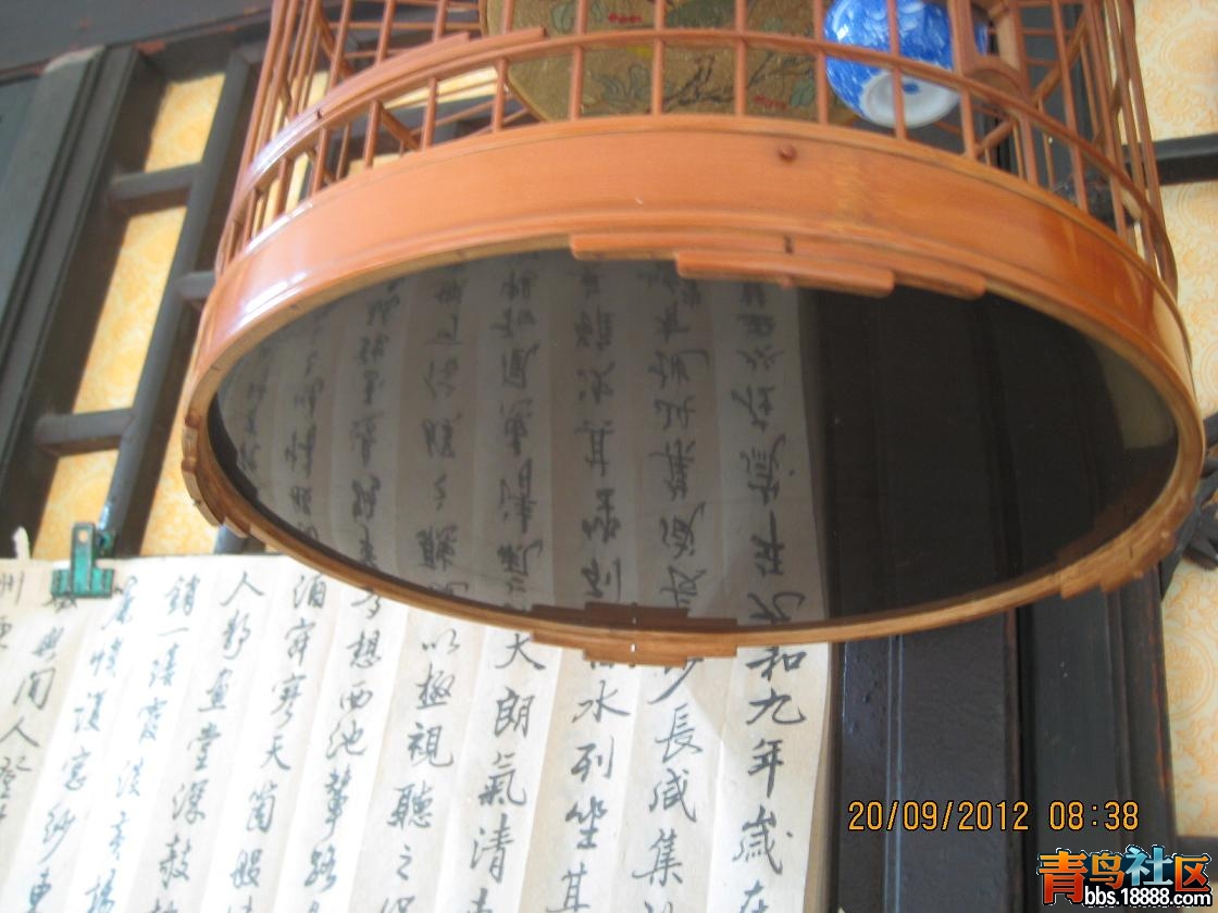 上网8.JPG