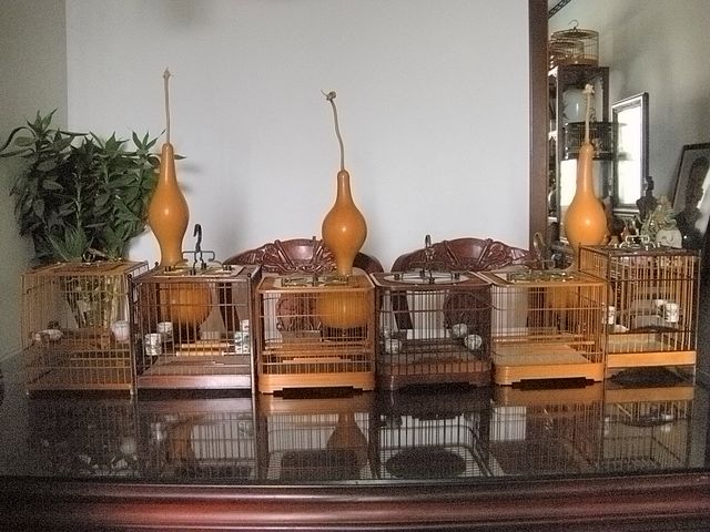 DSCN4571.JPG