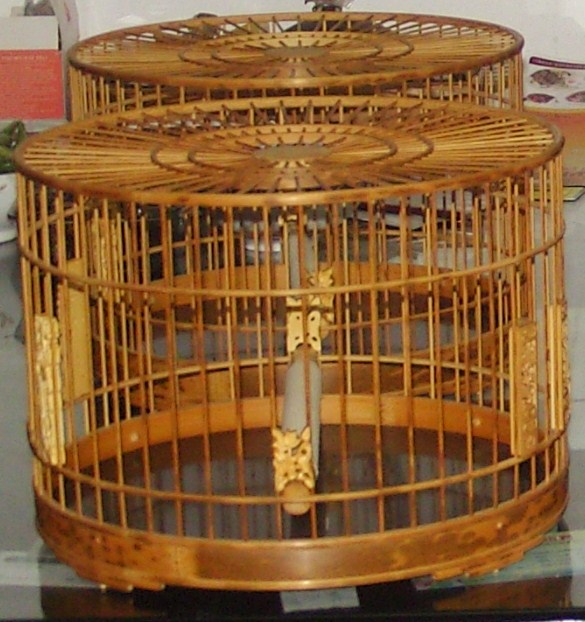 SNB15086.JPG